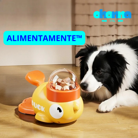 🧠 AlimentaMente™ — Estimulación y nutrición en un solo producto