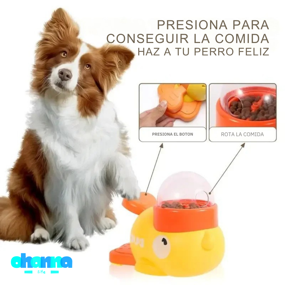 🧠 AlimentaMente™ — Estimulación y nutrición en un solo producto