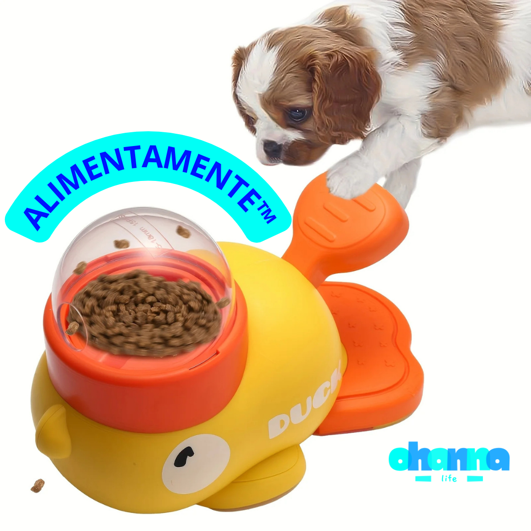 🧠 AlimentaMente™ — Estimulación y nutrición en un solo producto